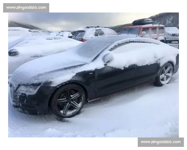 极速雪道争锋,滑雪高手冰雪赛场巅峰对决揭秘 极速雪道争锋,滑雪高手冰雪赛场巅峰对决揭秘