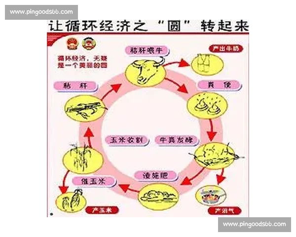新时代背景下体育管理体系优化与可持续发展研究