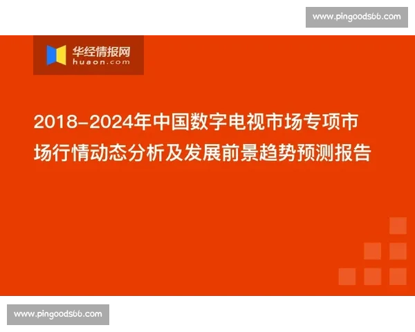 全球顶级体育联盟商业运营模式与球迷文化发展趋势观察研究报告 全球顶级体育联盟商业运营模式与球迷文化发展趋势观察研究报告