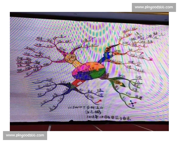 面向未来发展的综合能力提升路径与多维素养协同进阶策略探索